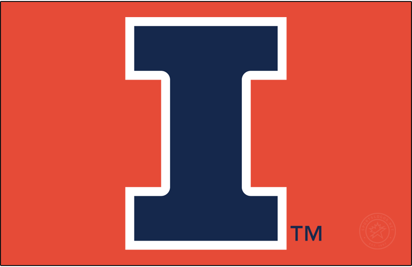 Illinois Fighting Illini 2014-Pres Primary Dark Logo v2 diy DTF decal sticker